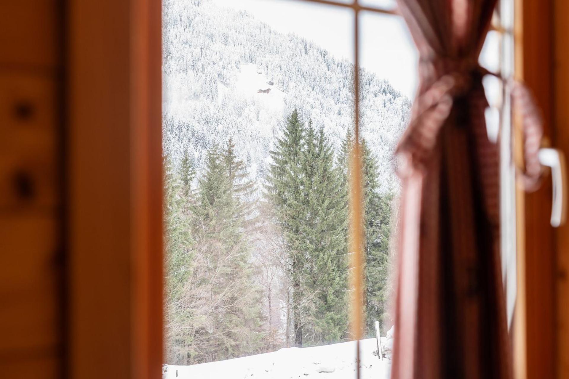 Villa Neuberg Alm Sankt Gallenkirch Esterno foto